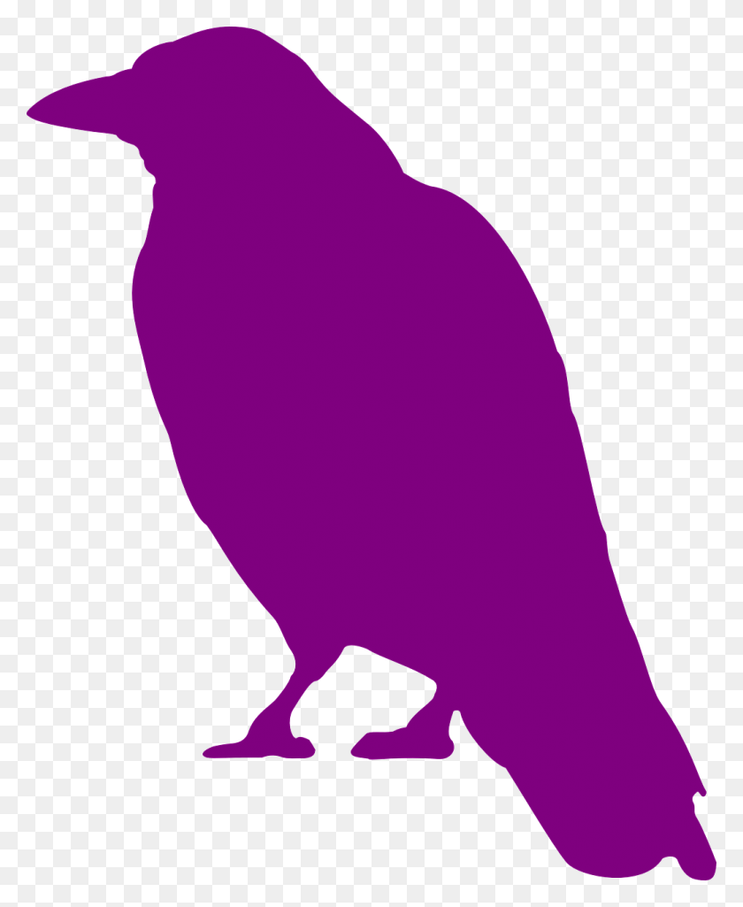 1034x1280 Crow Clip Art, Bird, Animal, Person HD PNG Download