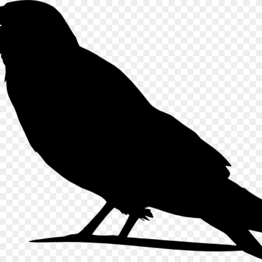Crow Clipart Silhouette Pattern Clip Art Pyrography Ideas, Gray Sticker PNG