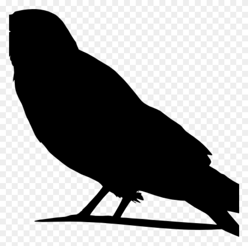 1025x1016 Crow Clipart Silhouette Pattern Clip Art Pyrography Outline Images Of Crow, Gray, World Of Warcraft HD PNG Download