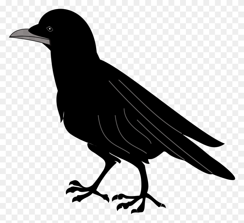 1618x1471 Crow Clipart Svg Chough Coat Of Arms, Outdoors, Nature, Text HD PNG Download