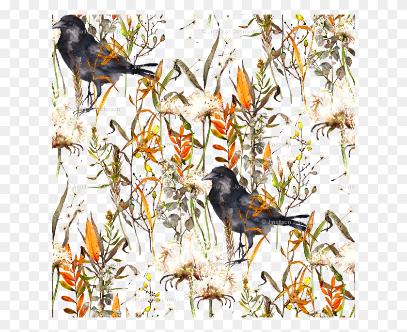 625x625 Crow In Fall Field Watercolor On White Wallpaper Blackbird, Plant, Flower, Blossom HD PNG Download