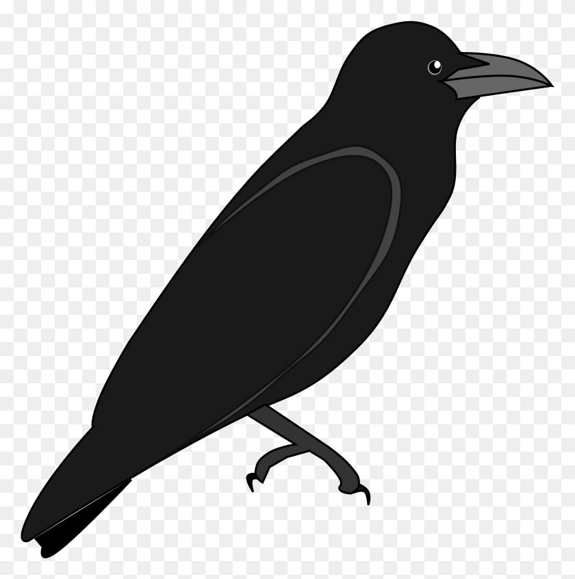 1886x1901 Crow Library Black Thing Huge Clip Art, Bird, Animal, Beak HD PNG Download
