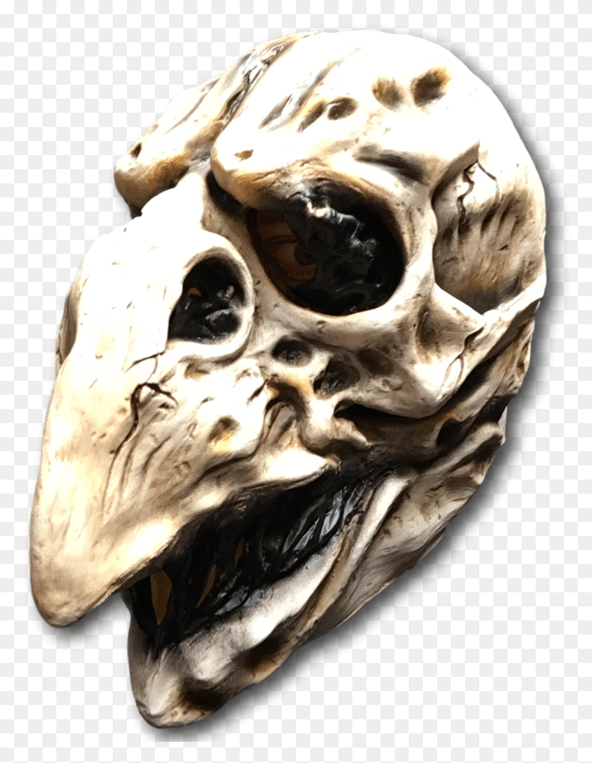 782x1025 Crow Skull Mask Mask, Bird, Animal, Head HD PNG Download