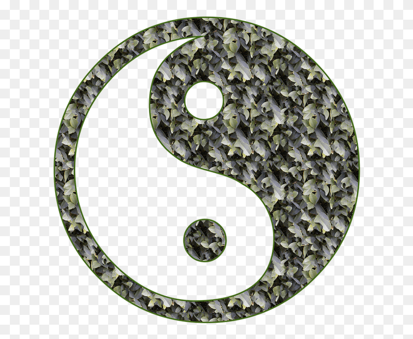 630x629 Palanca En El Karma Hace 3 Años Kung Fu Símbolos De Artes Marciales, Serpiente, Reptil, Animal Hd Png