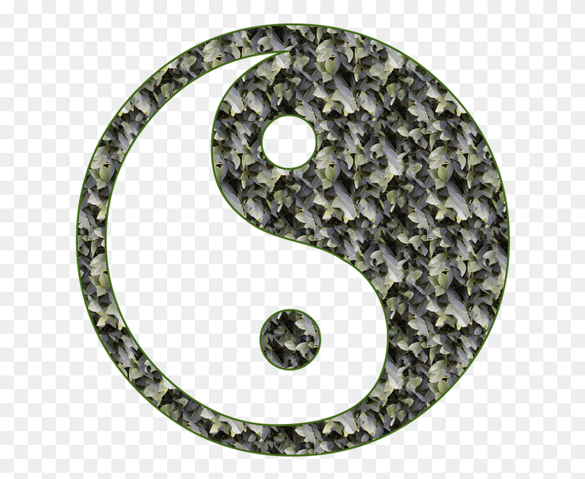 630x629 Crowbar In Karma 3 Years Ago Kung Fu Martial Arts Symbols, Snake, Reptile, Animal HD PNG Download