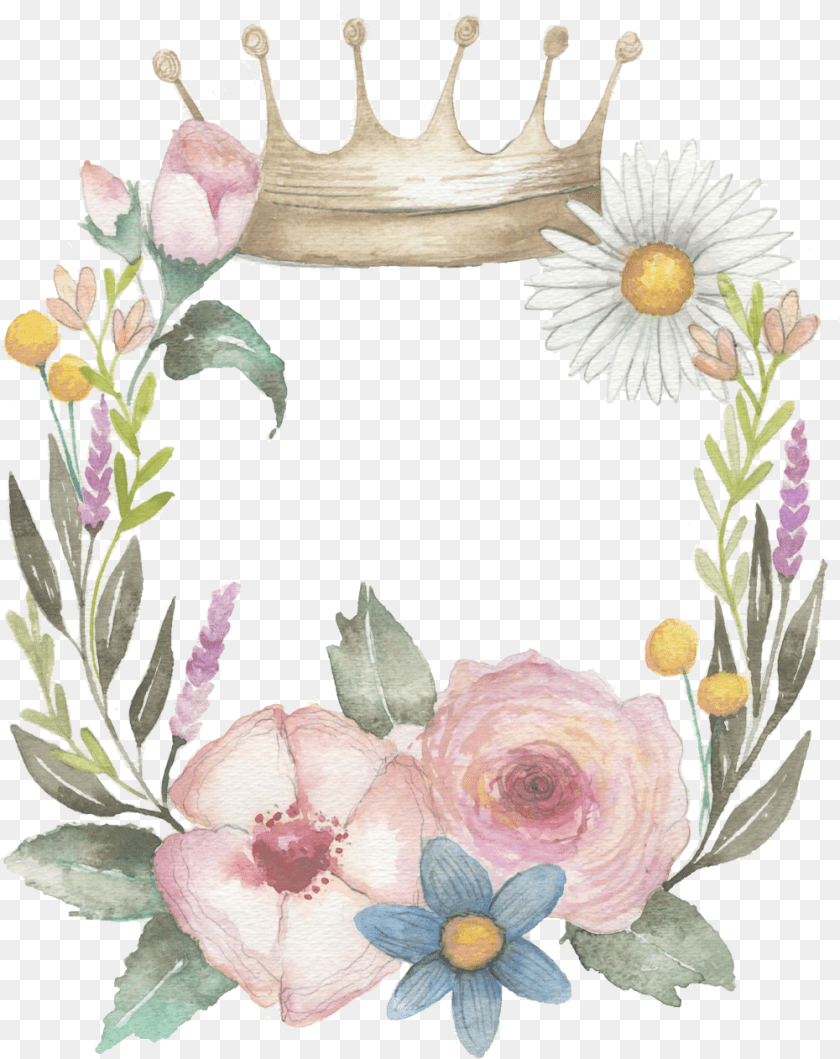 1001x1262 Crown Flower Wreath, Accessories, Plant, Anemone, Daisy Sticker PNG