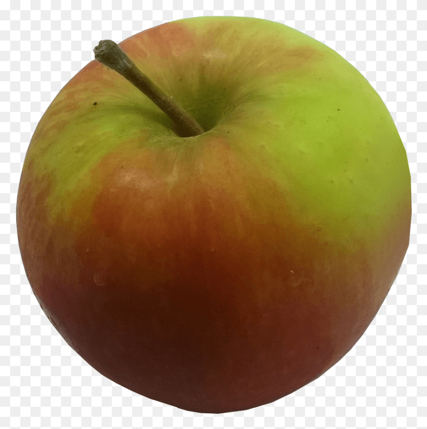 839x844 Descargar Png / Corona De Oro Mcintosh, Apple, Fruta, Planta Hd Png