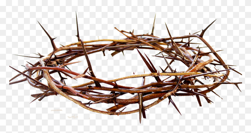 901x445 Crown Of Thorns, Wire, Barbed Wire, Rust HD PNG Download