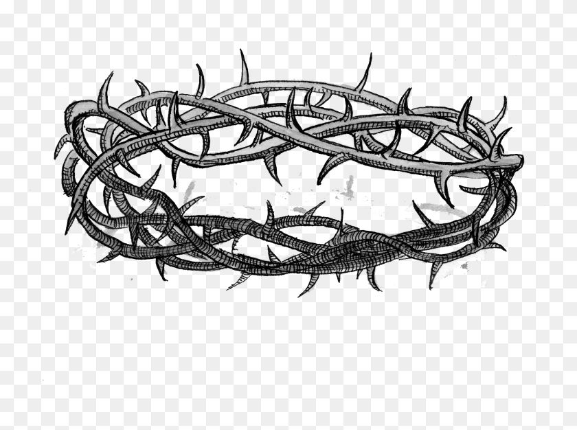 1746x1269 Crown Of Thorns Free Images Sketch, Lobster, Seafood, Sea Life HD PNG Download