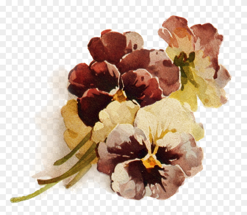 1075x926 Crowning Glory File Pansies Vintage Brown Flower Transparent Background, Plant, Blossom, Iris HD PNG Download