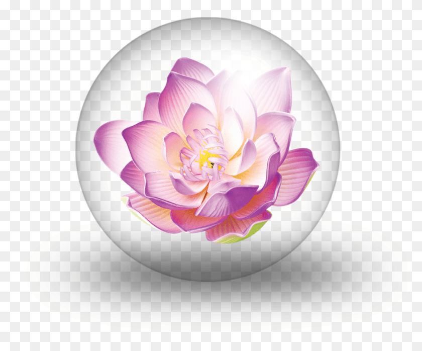 1225x1003 Crystal Ball Of Angela Purple Blue Red Lotus Flower, Sphere, Plant, Flower HD PNG Download