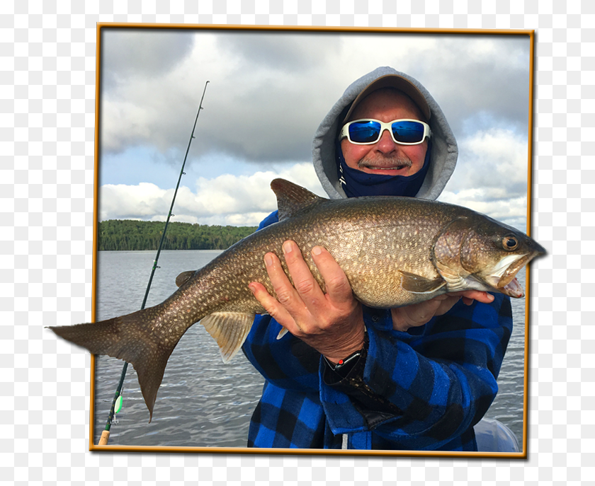 718x627 Crystal Lake Is Absolutely Stuffed With Lake Trout Jigging, Sunglasses, Accessories, Accessory HD PNG Download