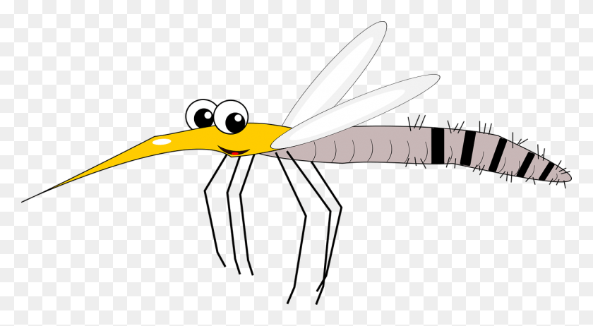 1280x661 Ученые Csir Работают Над Новой Вакциной От Малярии, Комаров, Насекомых, Беспозвоночных Hd Png Скачать