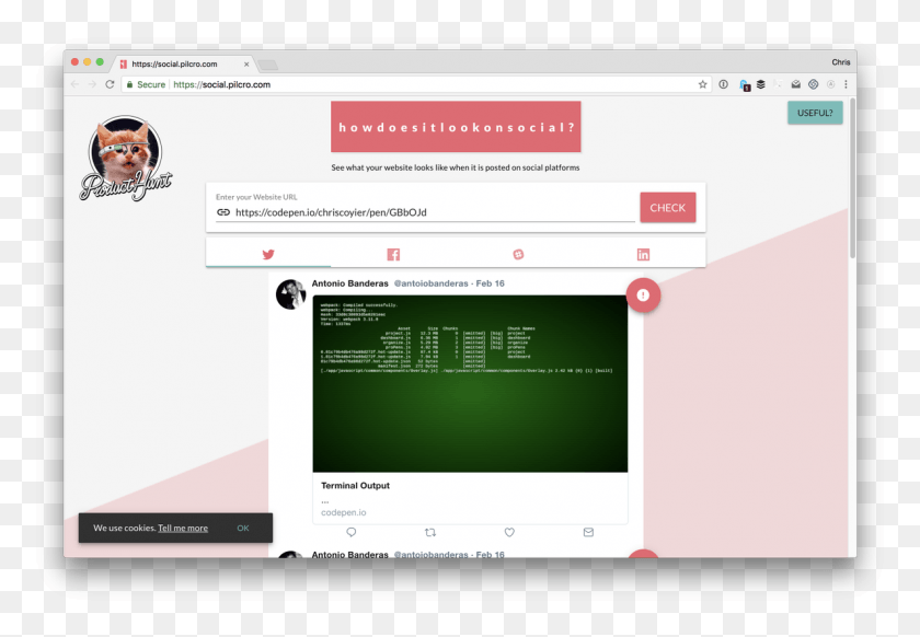 1187x795 Css Tricks On Twitter Product Hunt, File, Text, Person HD PNG Download