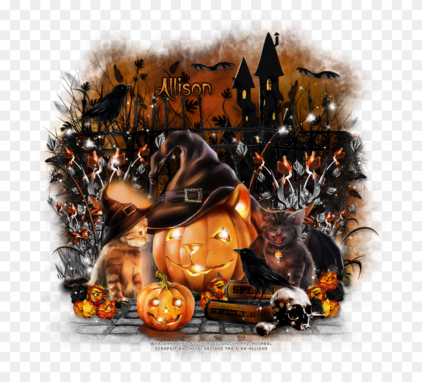 700x700 Ct Tag Show Off Jack O39 Lantern, Halloween, Plant, Cat HD PNG Download