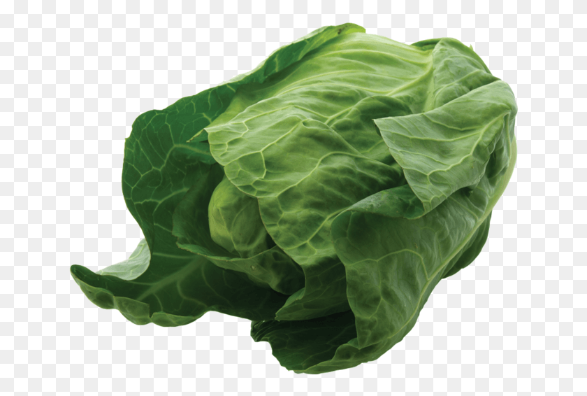 644x506 Ct York Cabbage Spinach, Plant, Vegetable, Food HD PNG Download