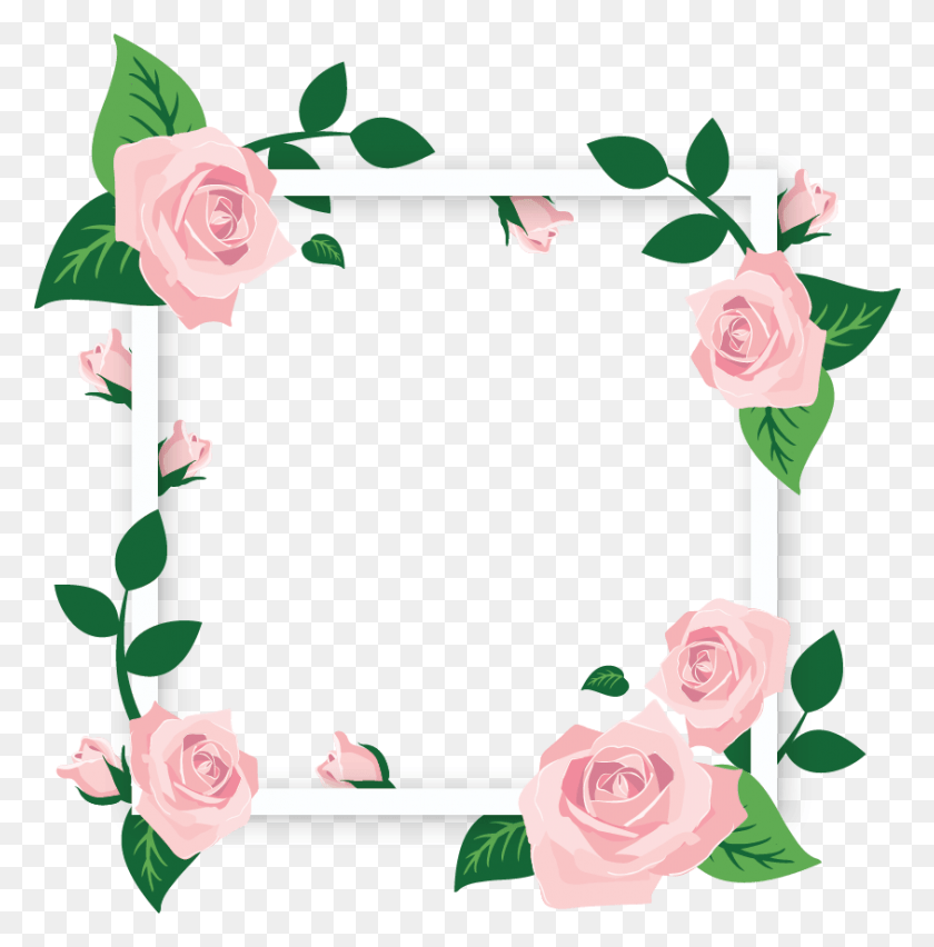 843x856 Descargar Png Cuadro Flores Slide Flower Square Frame, Planta, Flor, Rose Hd Png