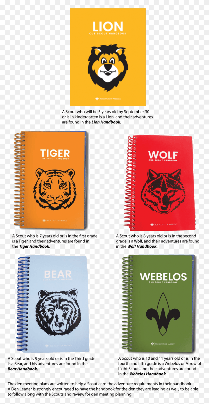 991x1987 Cub Scout Ages And Ranks Lion Cub Scout Handbooks, Text, Label, Passport HD PNG Download