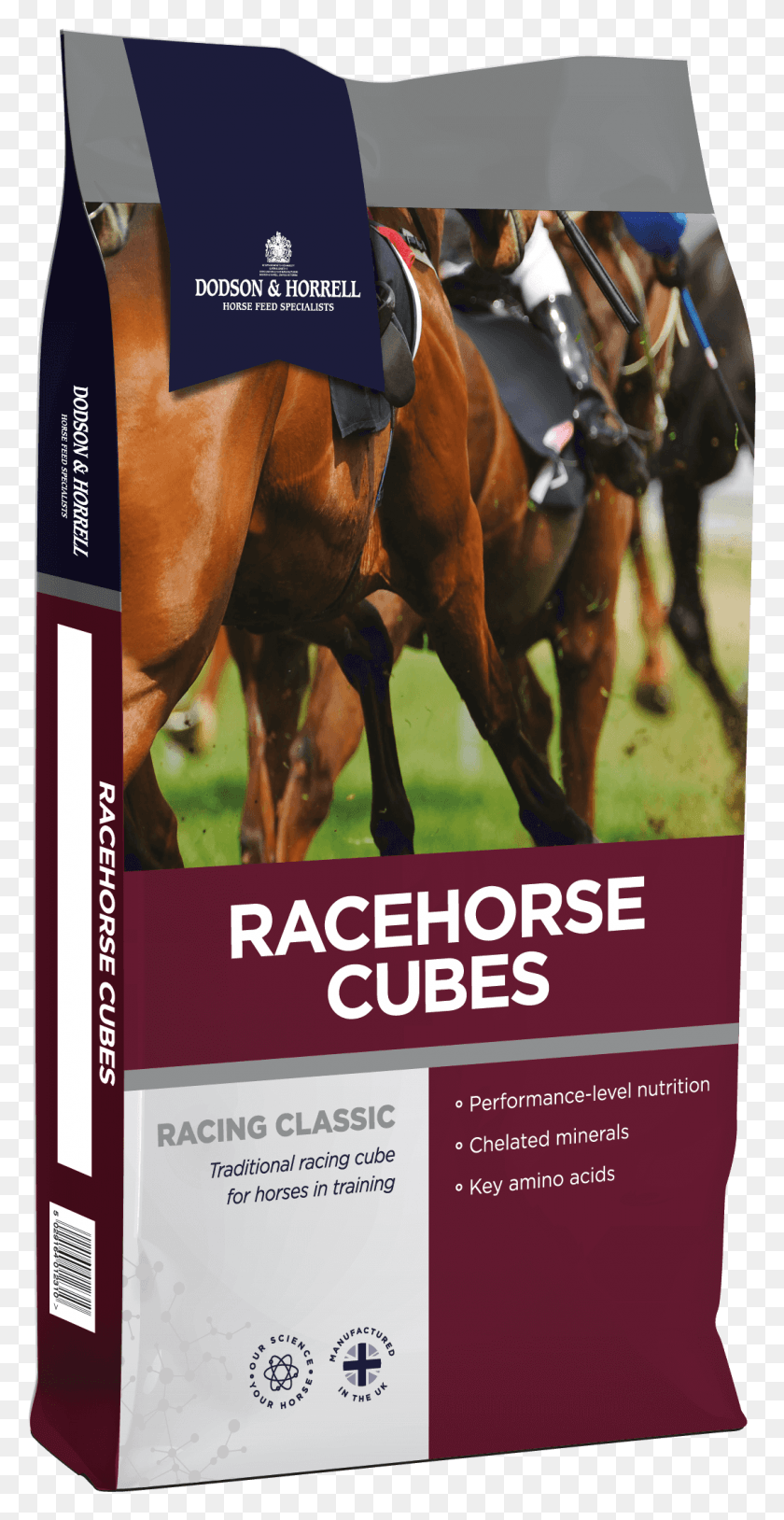 1079x2170 Cubitos De Competicin Tradicionales Para Caballos Race Horse Injuries, Poster, Advertisement, Flyer HD PNG Download