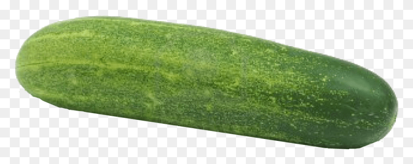 961x338 Cucumber, Plant, Grass, Vegetable HD PNG Download