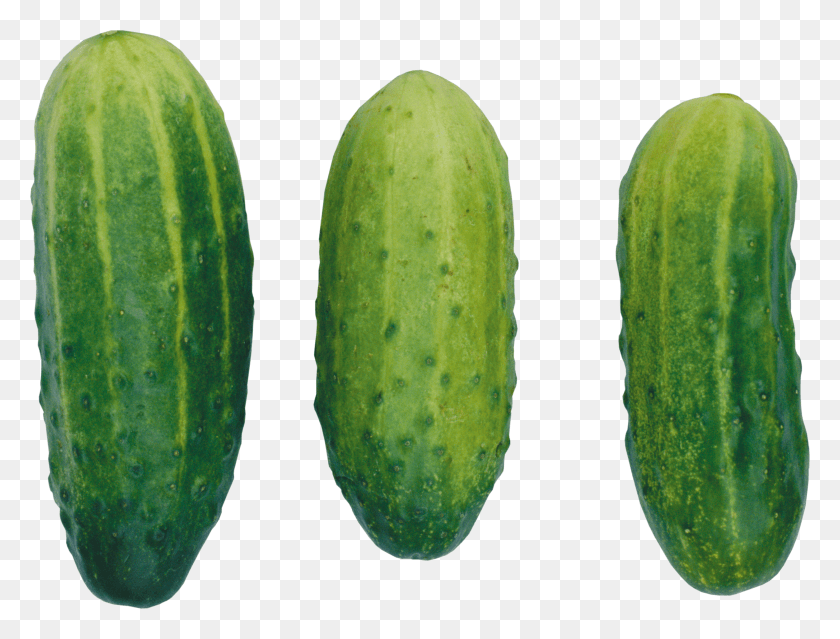 3287x2443 Pepino Png