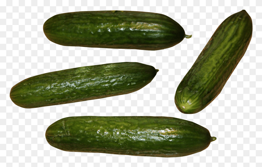 1675x1019 Pepino, Planta, Vegetal, Alimentos Hd Png