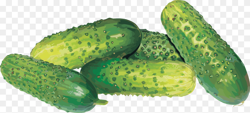 Cucumber, Food, Plant, Produce, Vegetable Sticker PNG