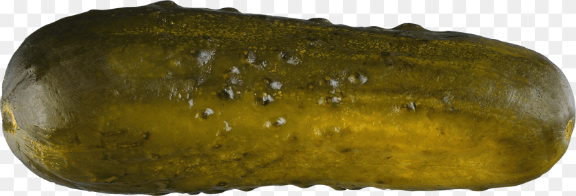 Cucumber, Food, Pickle, Relish, Bread Sticker PNG