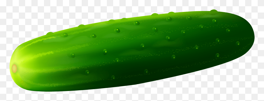 3389x1147 Pepino, Pepino, Vegetal, Planta, Alimentos Hd Png