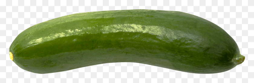1374x381 Cucumber Image Cucumber, Plant, Vegetable, Food HD PNG Download