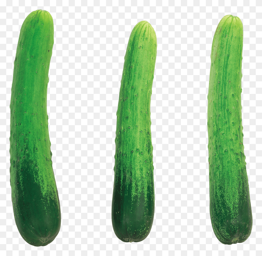 2718x2644 Cucumber One Cucumber HD PNG Download