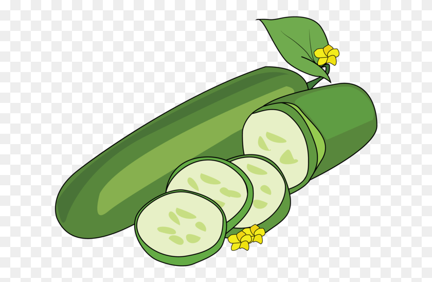 630x488 Cucumber Plant Picture Cartoon, Green, Vegetable, Food HD PNG Download