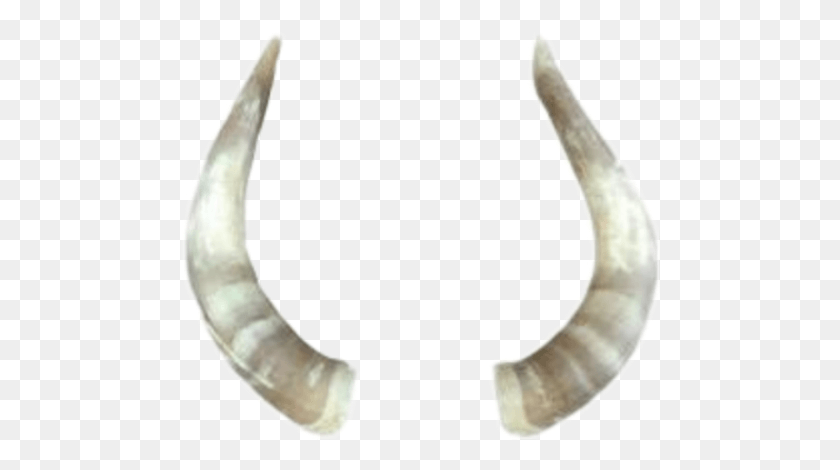 480x410 Cuernos Sticker Earrings, Horseshoe, Antler, Person HD PNG Download