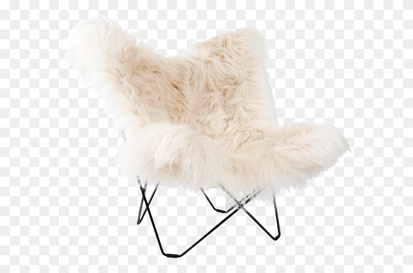 597x496 Cuero Butterfly Chair Long White Sheepskin Chair, Furniture, Dog, Pet HD PNG Download
