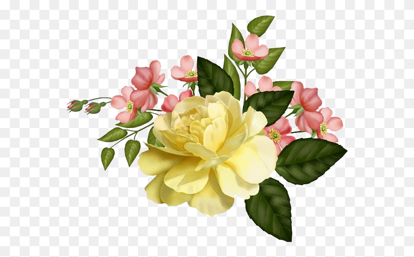 572x462 Descargar Png Cuesta Nada Y Si Les Gust La Entrada Pueden Compartirla Vintage Flores Amarillas Y Rosadas, Planta, Flor, Flor Hd Png