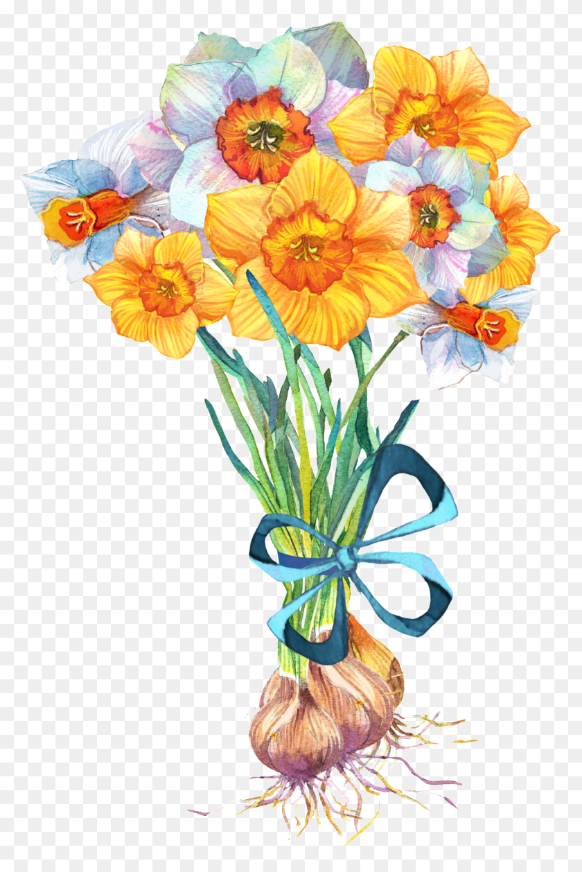 1024x1573 Cui Yellow Flower From Transparent Decorative, Plant, Flower, Blossom HD PNG Download