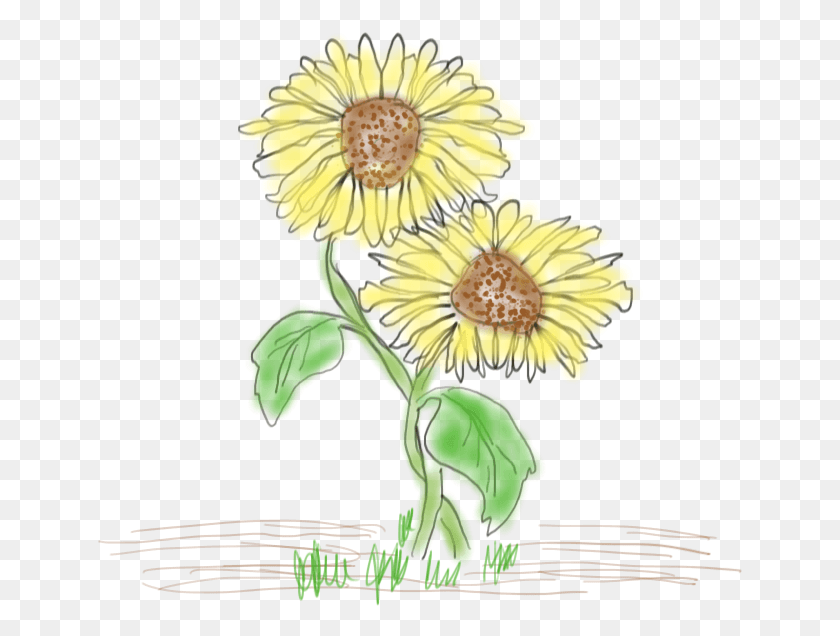 645x576 Cultivate Joy Ii Dandelion, Plant, Flower, Blossom HD PNG Download