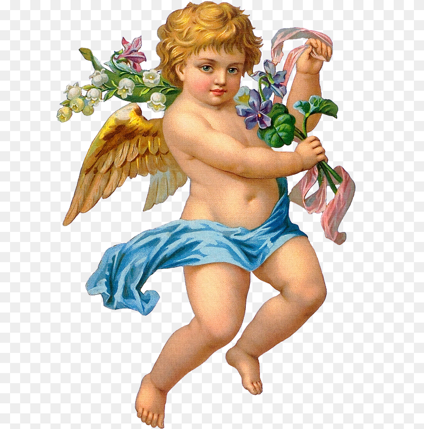 Cupid Clipart Cherub, Person, Baby, Angel, Flower Arrangement PNG