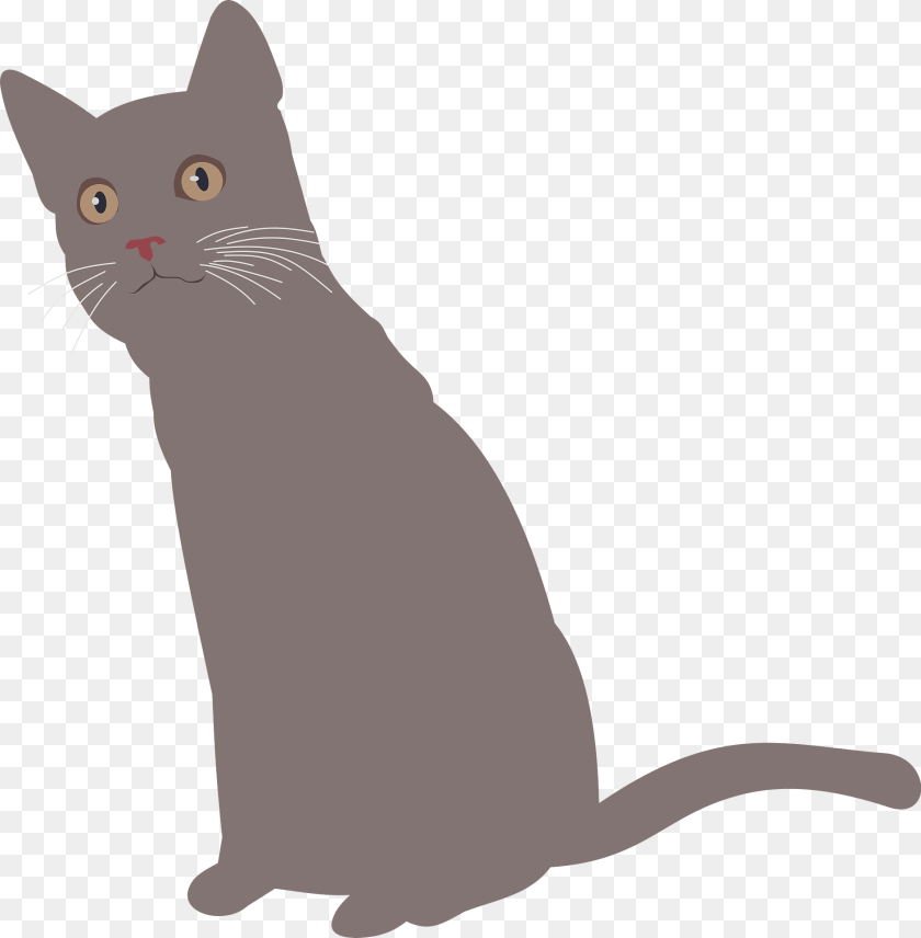 Curious Cat Clipart, Animal, Mammal, Pet, Abyssinian Transparent PNG