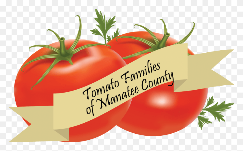 1470x872 Current Exhibits Transparent Background Tomatoes Clipart, Plant, Vegetable, Food HD PNG Download