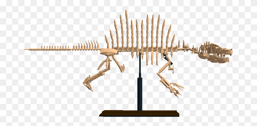 683x352 Скелет, Динозавр, Рептилия, Животное Png Скачать