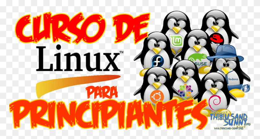 800x400 Curso De Linux Para Principiantes Linux, Пингвин, Птица, Животное Hd Png Скачать