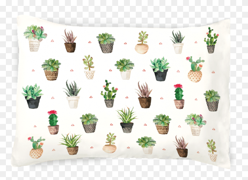 964x680 Cushion, Plant, Potted Plant, Vase HD PNG Download