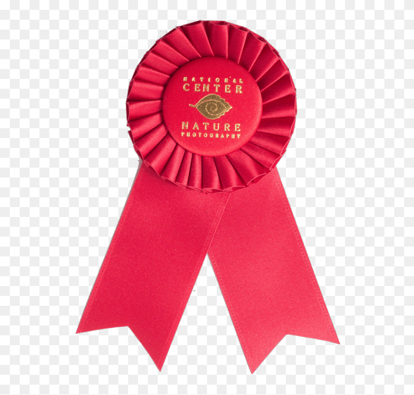 571x801 Custom Award Rosetterosettesrs 102 962 Award, Formal Wear, Badge, Logo, Symbol Clipart PNG