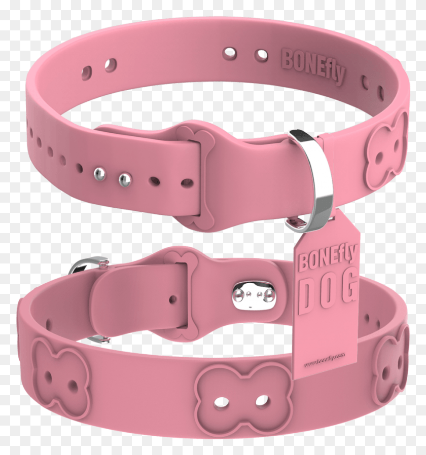 890x957 Custom Made Dog Belt, Accessories, Accessory, Collar HD PNG Download