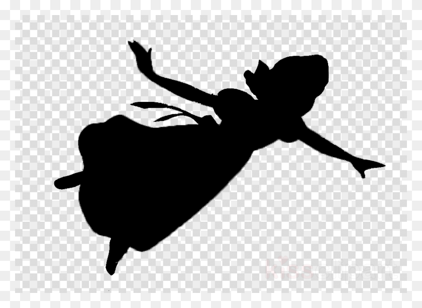 900x640 Custom Peter Pan Wall Decal India Map Outline Without Background, Texture, Polka Dot HD PNG Download
