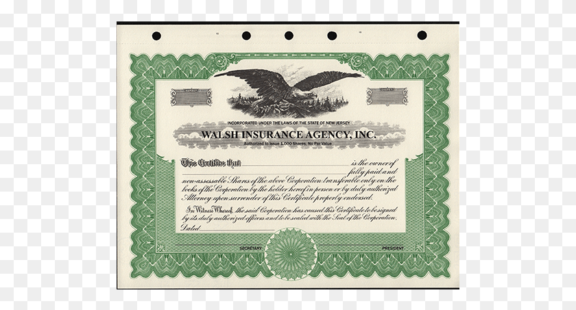 501x393 Custom Printed Corporate Stock Certificates 5187 Llc Membership Certificate Completed, Text, Diploma, Document HD PNG Download