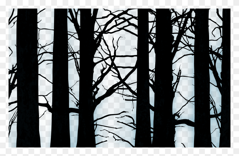 2600x1625 Custom Transparent Black Forest Dark Forest Transparent, Tree, Plant HD PNG Download