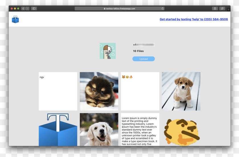 1490x980 Cute Animal, File, Webpage, Puppy, Pet Sticker PNG