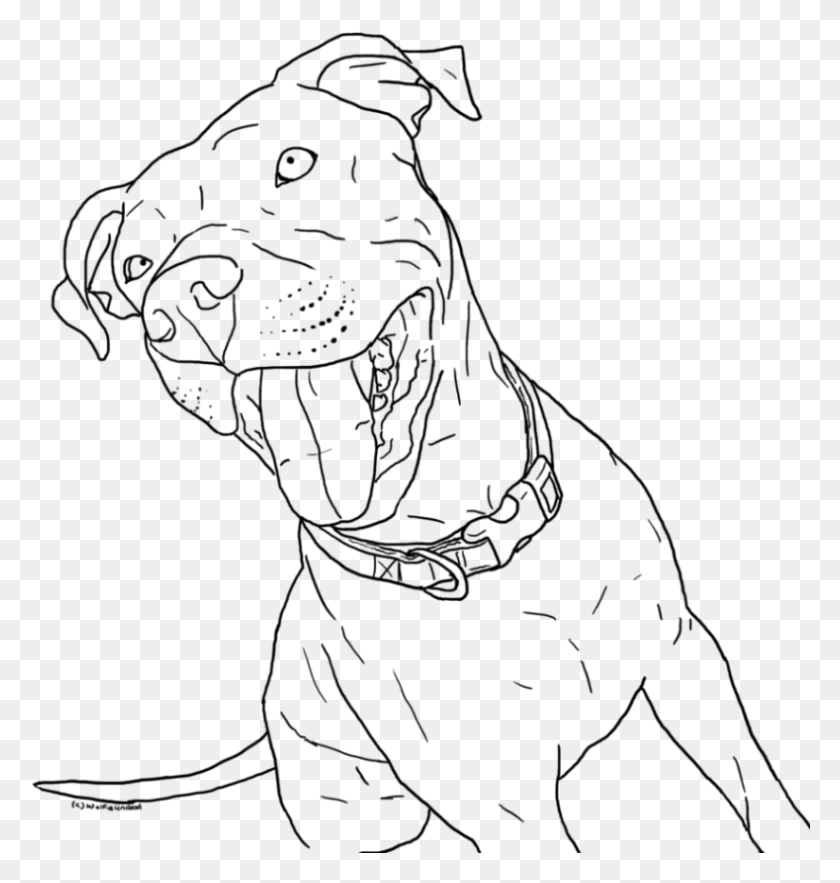 789x833 Cute Baby Pitbull Coloring, Gray, World Of Warcraft HD PNG Download